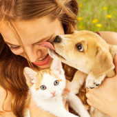 hond en kat samen opvoeden