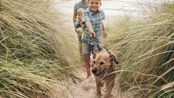 Bang dat je hond artrose krijgt? 3 symptomen om op te letten