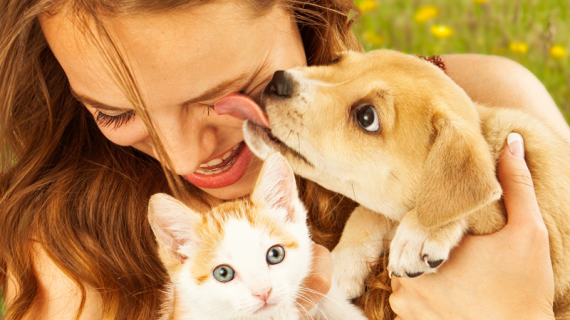 hond en kat samen opvoeden